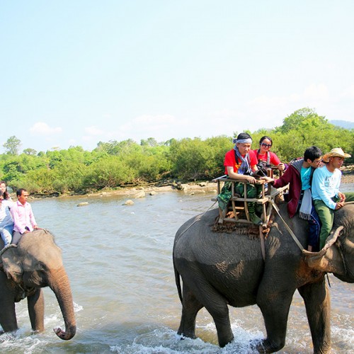 Công ty TNHH Đà Lạt Ảo Mộng