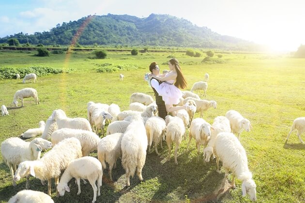 Công ty TNHH Đà Lạt Ảo Mộng