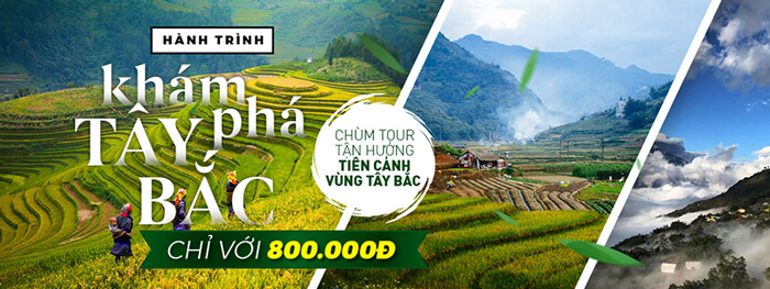 Công ty TNHH Đà Lạt Ảo Mộng